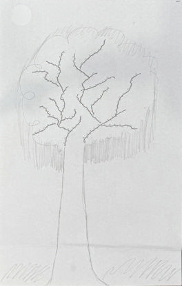 Imagen de El árbol mágico