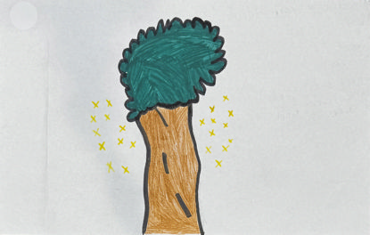 Imagen de Árbol estrella