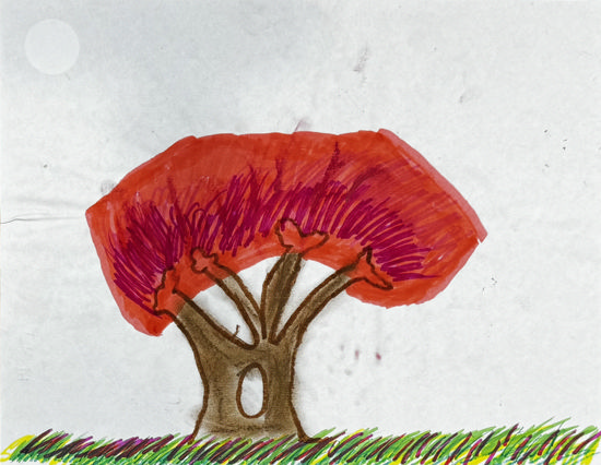 Imagen de Sin título