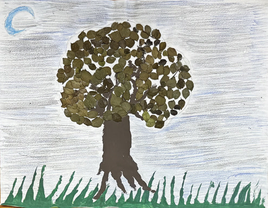 Imagen de El genio del árbol de los deseos