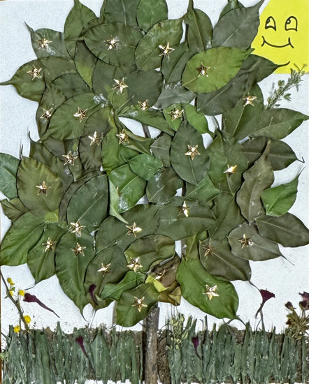 Imagen de La paz tiene que ser como la naturaleza