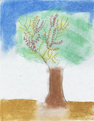 Picture of Tierra de paz