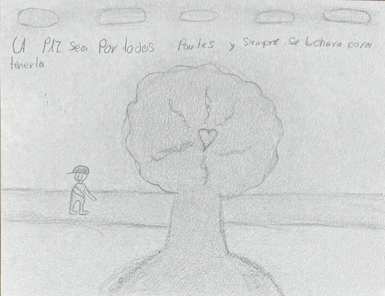 Imagen de Caminando hacia la paz