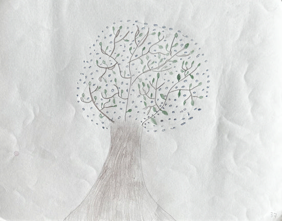 Imagen de Mi amigo el árbol