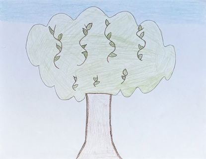 Picture of Mateo tiene sueños