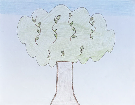 Picture of Mateo tiene sueños