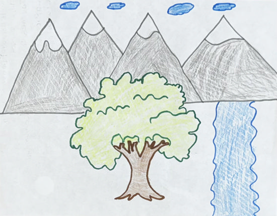 Picture of El árbol mágico de la comunidad